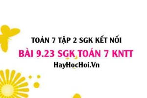 Bài 9.23 SGK Toán 7 Tập 2 Kết nối tri thức